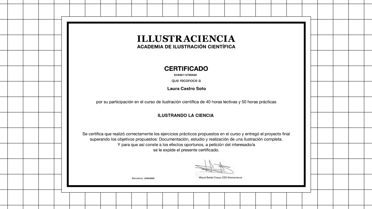 Wrapping Up the “Illustrating Science” Course