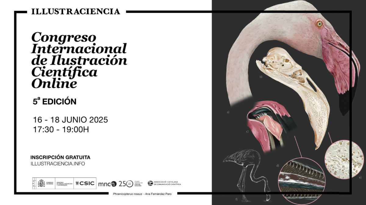 Speaking at the International Scientific Illustration Congress