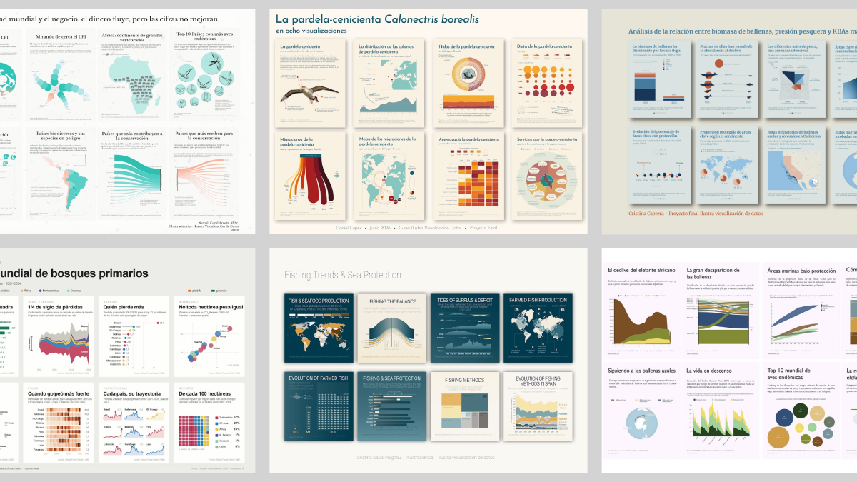 First Edition: Ilustra Visualización de Datos Student Projects