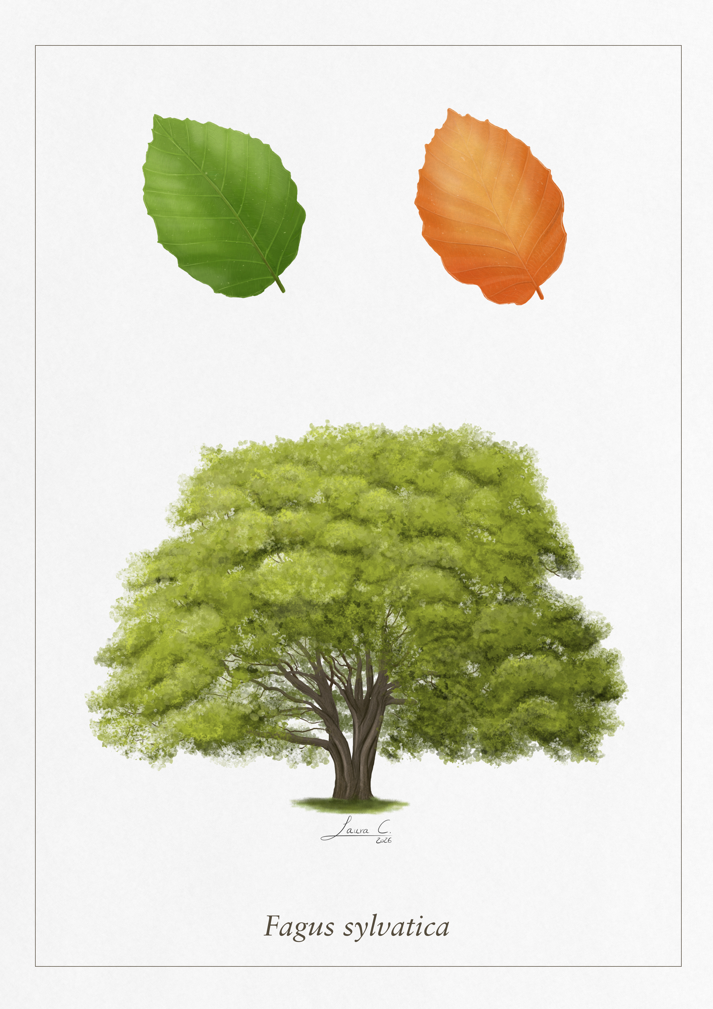 Biodiversity in Switzerland illustration